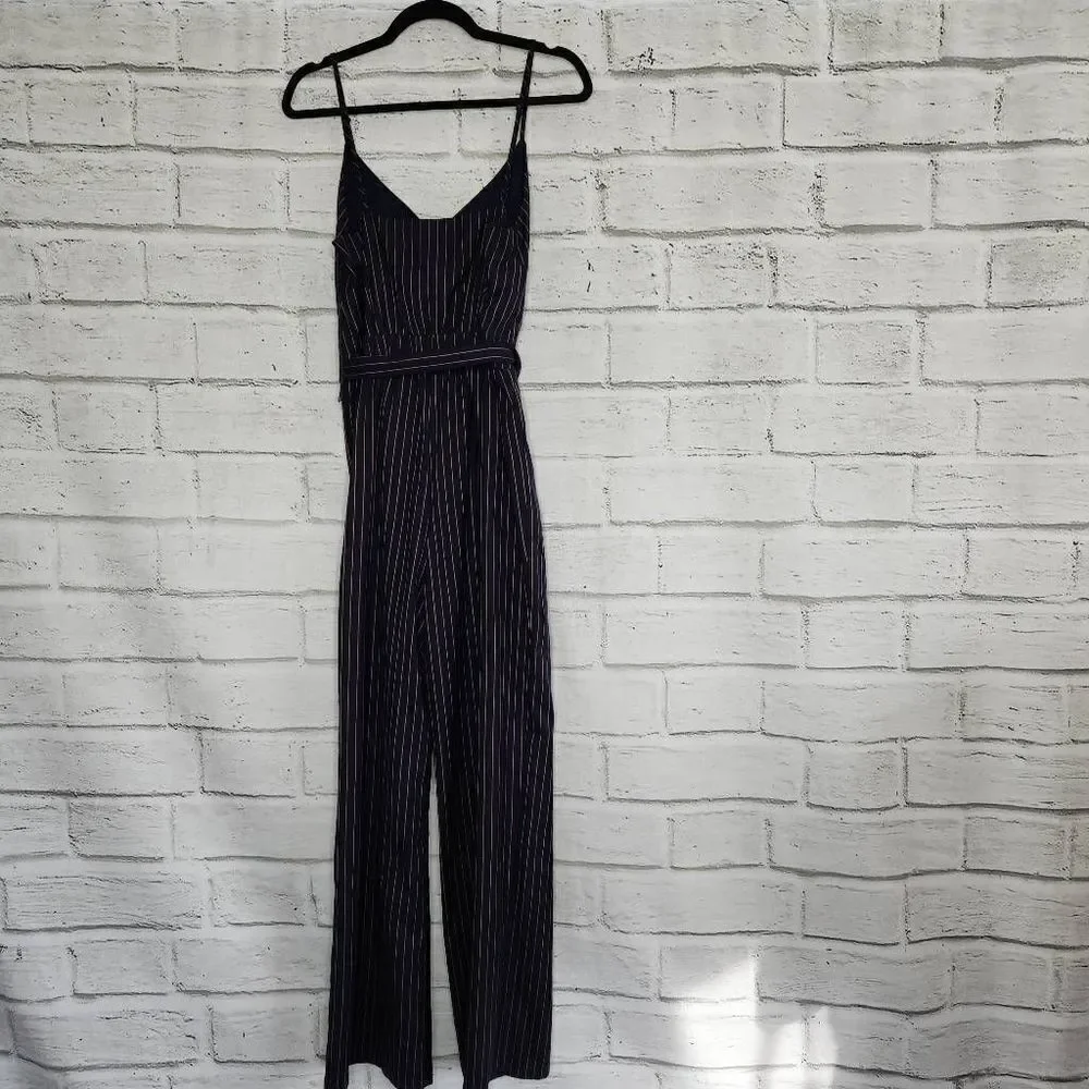 Cupcakes & Cashmere Bonita Pinstripe Front Tie Waist Jumpsuit Blue Tan Small